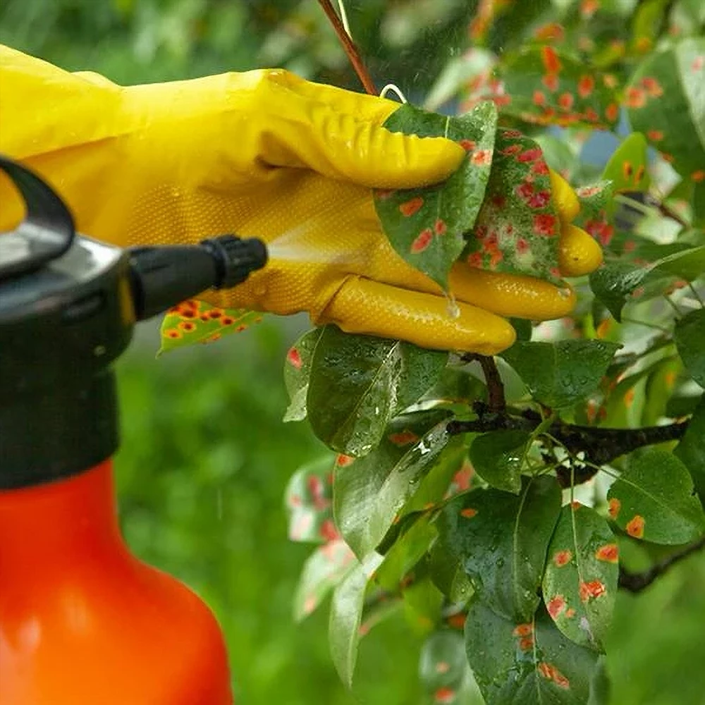 Fungicides